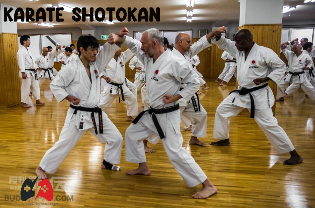Karate Shotokan
