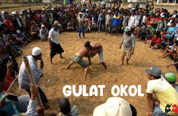 gulat okol