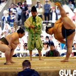 Gulat Sumo